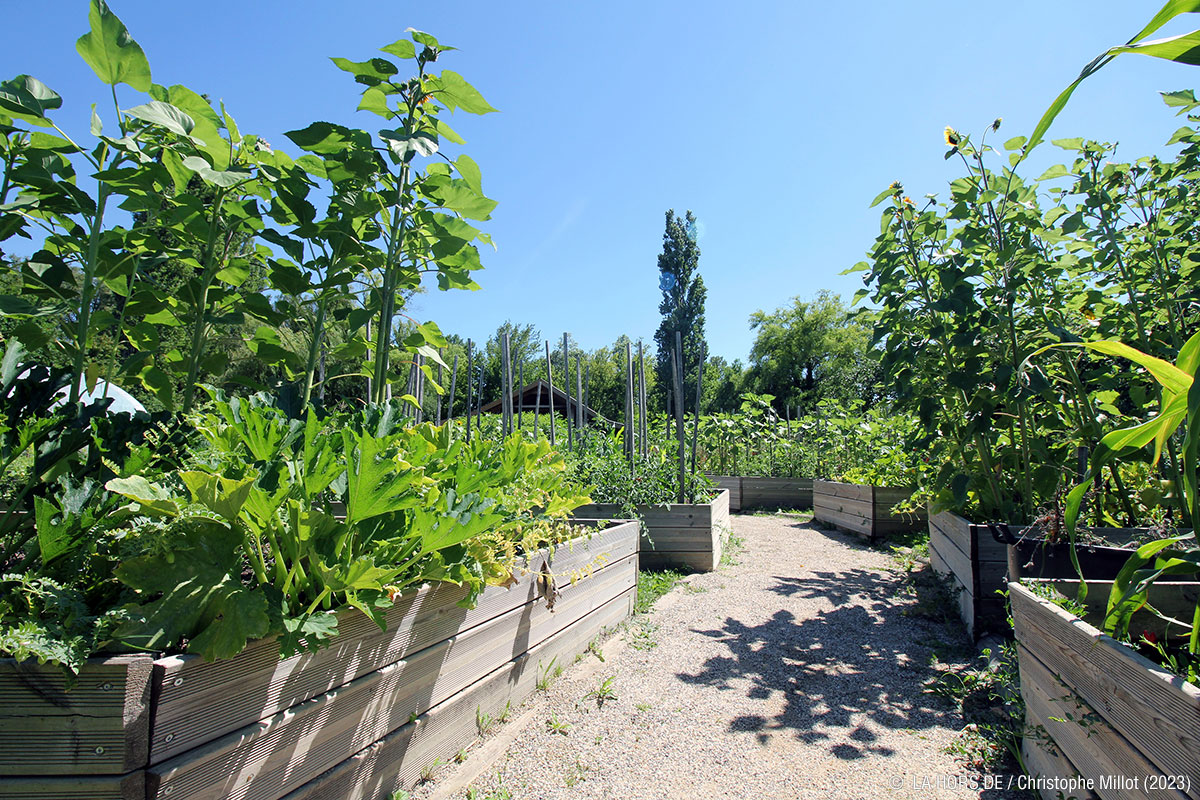 La p’tite cuisine de Camille : Plantes et légumes du potager (été / automne)